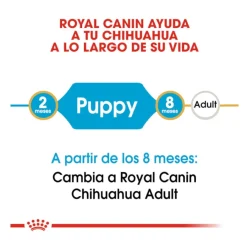 Royal Canin Puppy Chihuahua pienso para cachorros Clearance