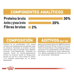 Royal Canin Puppy Chihuahua pienso para cachorros Clearance