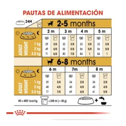 Royal Canin Puppy Chihuahua pienso para cachorros Clearance