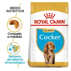 Royal Canin Puppy Cocker pienso para perros Online