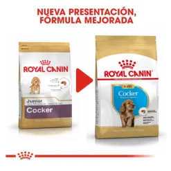 Royal Canin Puppy Cocker pienso para perros Online