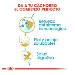 Royal Canin Puppy Cocker pienso para perros Online