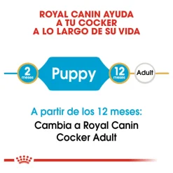 Royal Canin Puppy Cocker pienso para perros Online