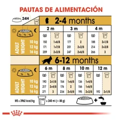 Royal Canin Puppy Cocker pienso para perros Online