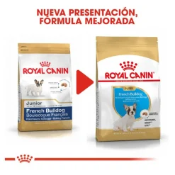 Royal Canin Puppy French Bulldog pienso para perros Hot