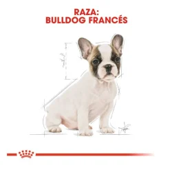 Royal Canin Puppy French Bulldog pienso para perros Hot