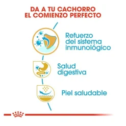 Royal Canin Puppy French Bulldog pienso para perros Hot