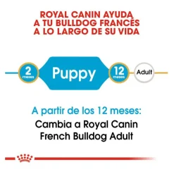 Royal Canin Puppy French Bulldog pienso para perros Hot