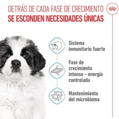 Royal Canin Puppy Giant pienso para perros Outlet