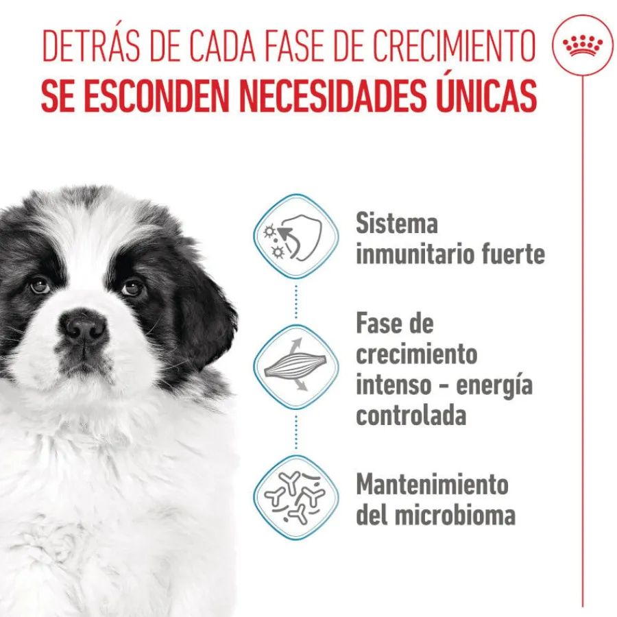 Royal Canin Puppy Giant pienso para perros Outlet