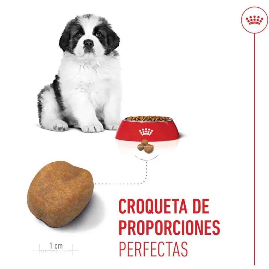Royal Canin Puppy Giant pienso para perros Outlet