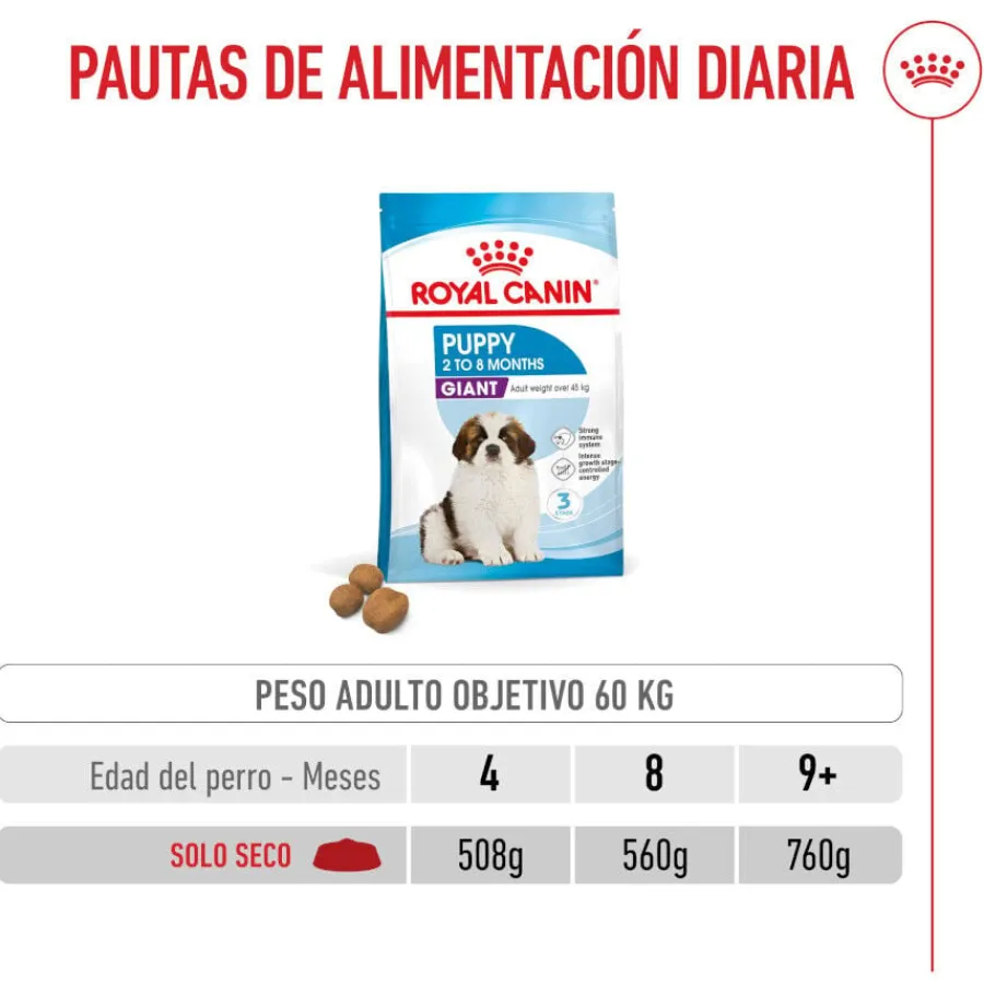 Royal Canin Puppy Giant pienso para perros Outlet