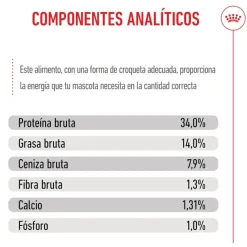 Royal Canin Puppy Giant pienso para perros Outlet