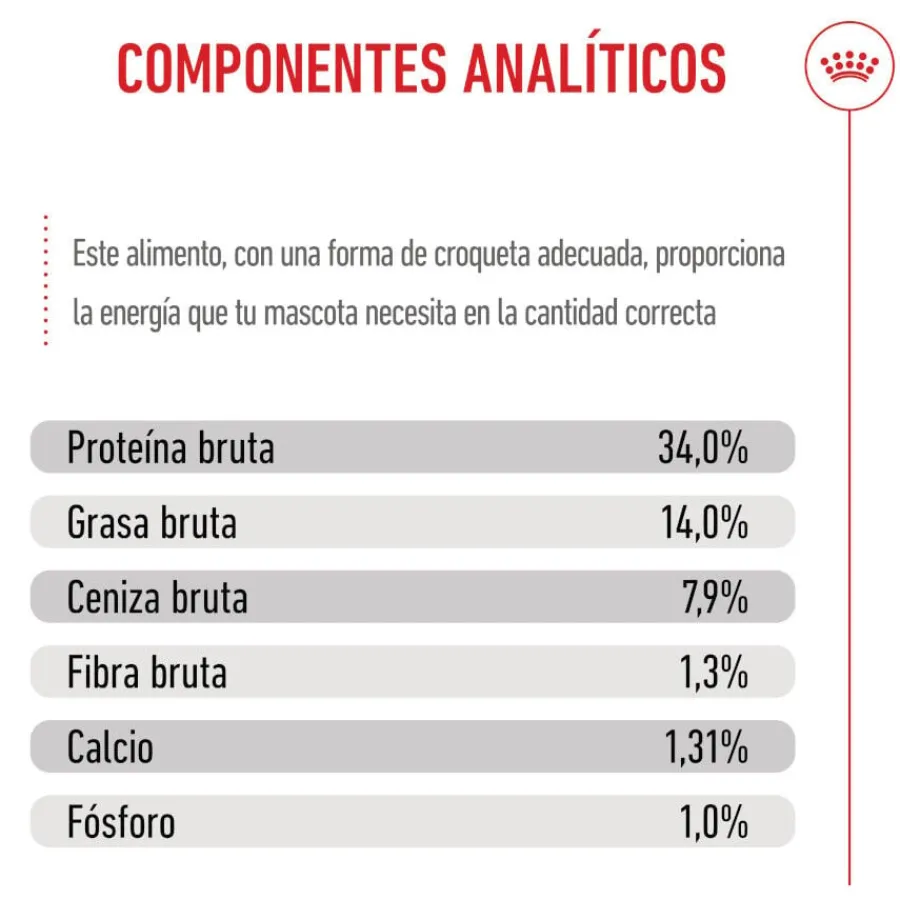 Royal Canin Puppy Giant pienso para perros Outlet