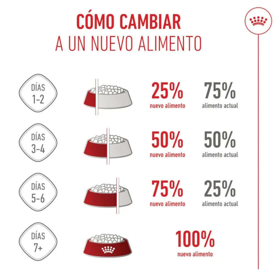 Royal Canin Puppy Giant pienso para perros Outlet