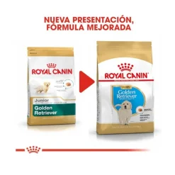Royal Canin Puppy Golden Retriever pienso para perros New