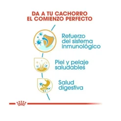 Royal Canin Puppy Golden Retriever pienso para perros New