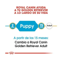 Royal Canin Puppy Golden Retriever pienso para perros New