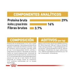 Royal Canin Puppy Golden Retriever pienso para perros New