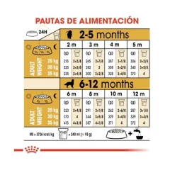 Royal Canin Puppy Golden Retriever pienso para perros New