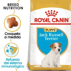 Royal Canin Puppy Jack Russell Terrier pienso para perros Best