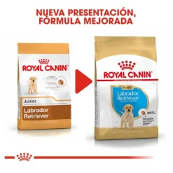 Royal Canin Puppy Labrador Retriever pienso para perros Best