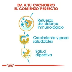 Royal Canin Puppy Labrador Retriever pienso para perros Best