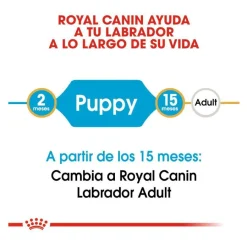 Royal Canin Puppy Labrador Retriever pienso para perros Best