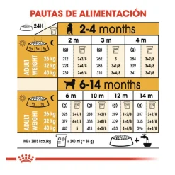 Royal Canin Puppy Labrador Retriever pienso para perros Best