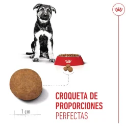 Royal Canin Puppy Maxi pienso para perros Hot