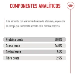 Royal Canin Puppy Maxi pienso para perros Hot