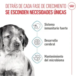 Royal Canin Puppy Medium pienso para cachorros Hot