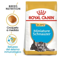 Royal Canin Puppy Miniature Schnauzer pienso para perros