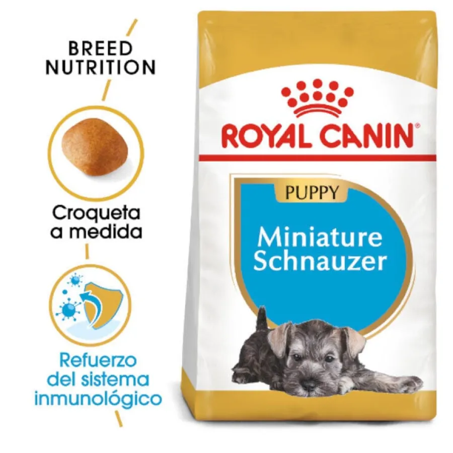 Royal Canin Puppy Miniature Schnauzer pienso para perros