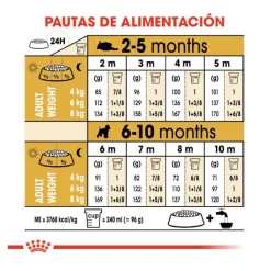 Royal Canin Puppy Miniature Schnauzer pienso para perros