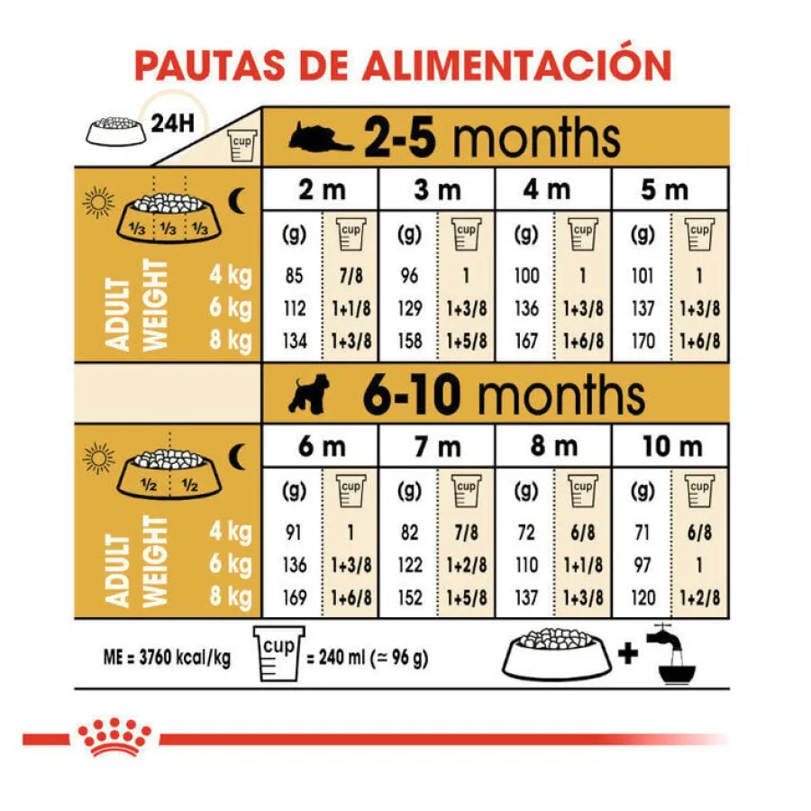 Royal Canin Puppy Miniature Schnauzer pienso para perros
