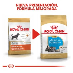 Royal Canin Puppy Miniature Schnauzer pienso para perros