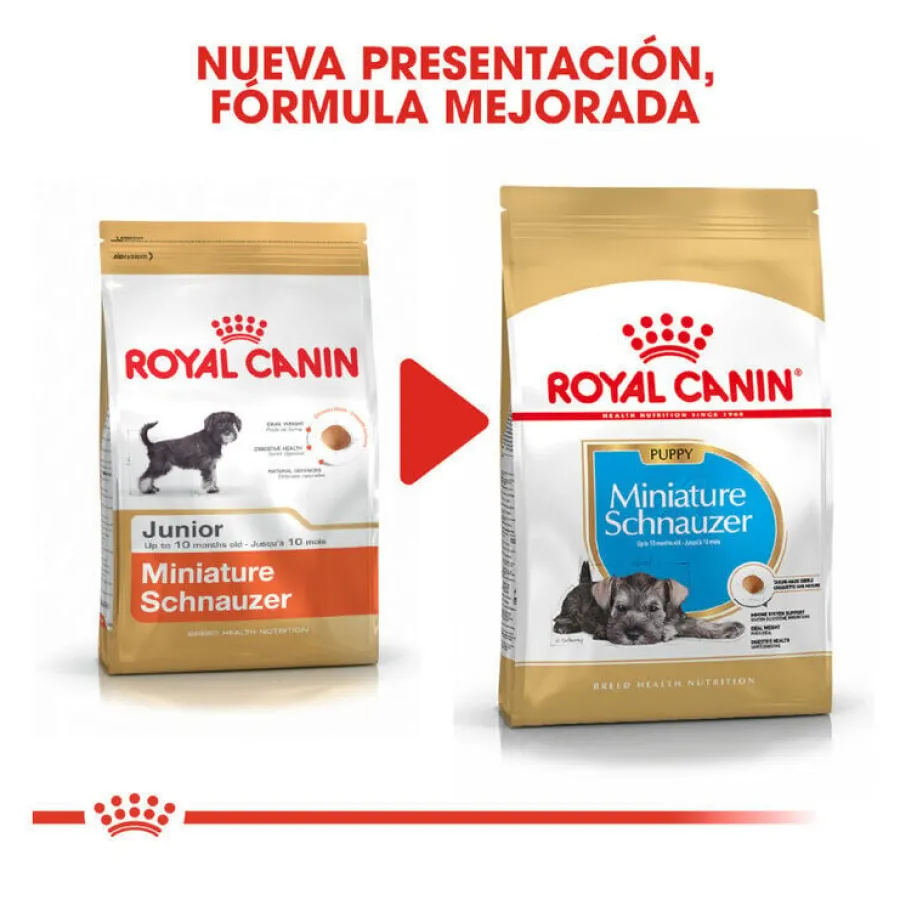 Royal Canin Puppy Miniature Schnauzer pienso para perros