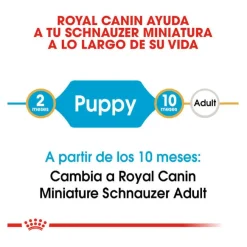 Royal Canin Puppy Miniature Schnauzer pienso para perros