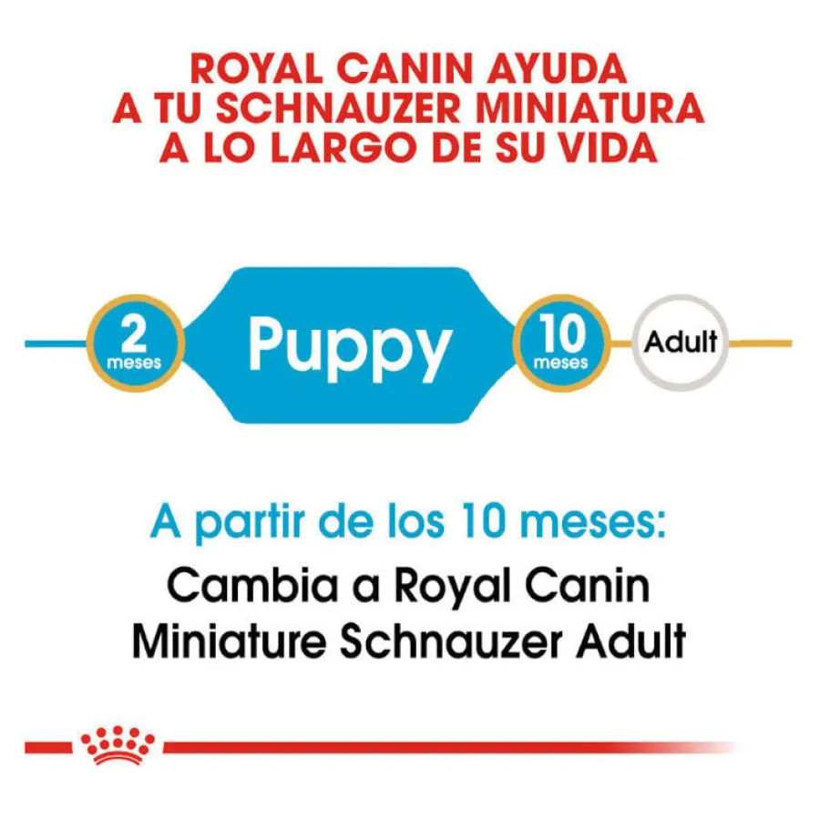 Royal Canin Puppy Miniature Schnauzer pienso para perros
