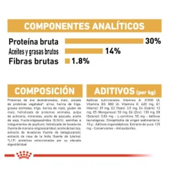 Royal Canin Puppy Miniature Schnauzer pienso para perros
