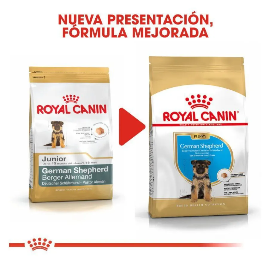 Royal Canin Puppy Pastor Alemán pienso para perros Hot
