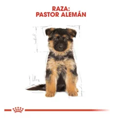 Royal Canin Puppy Pastor Alemán pienso para perros Hot
