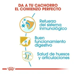 Royal Canin Puppy Pastor Alemán pienso para perros Hot