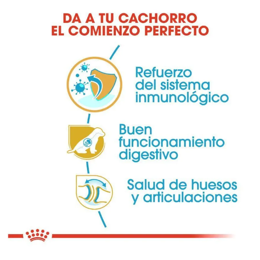 Royal Canin Puppy Pastor Alemán pienso para perros Hot