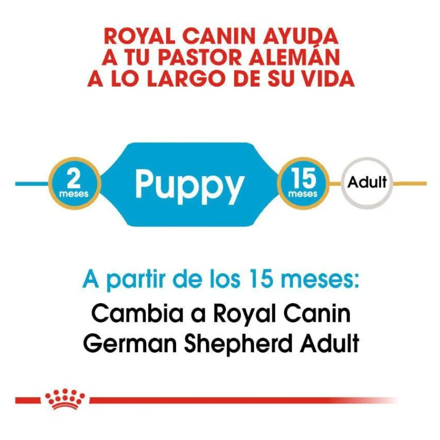 Royal Canin Puppy Pastor Alemán pienso para perros Hot