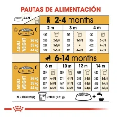 Royal Canin Puppy Pastor Alemán pienso para perros Hot