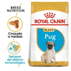 Royal Canin Puppy Pug pienso para perros Sale
