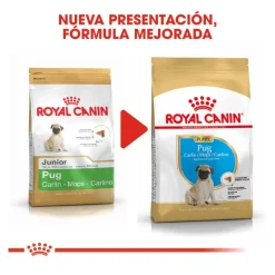 Royal Canin Puppy Pug pienso para perros Sale