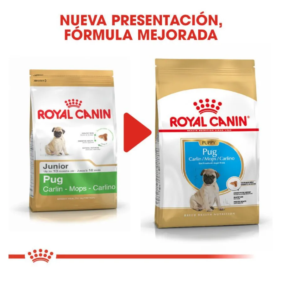 Royal Canin Puppy Pug pienso para perros Sale